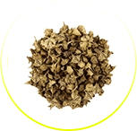 गोक्षुरा